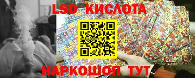 Альфа ПВП Ставрополь