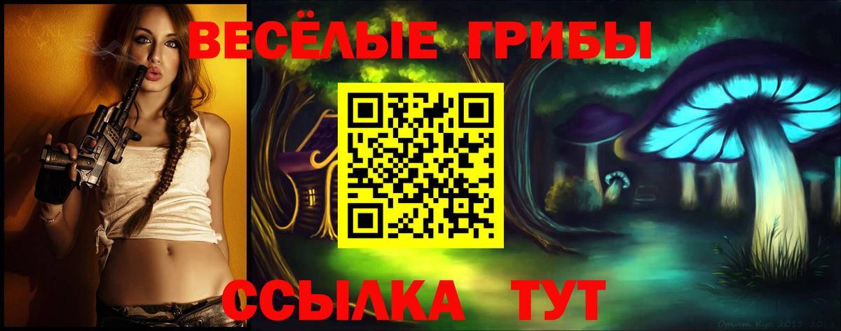 Галлюциногенные грибы Psilocybine cubensis Нурлат